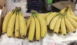 香蕉短视频,趣味横生的短视频盛宴