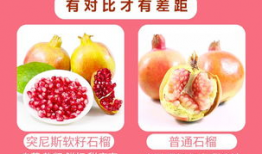 石榴视频,探索视觉盛宴，尽享精彩瞬间