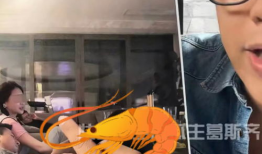 汪小菲吃瓜爆料图片大全,揭秘娱乐圈幕后真相