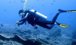 潜水视频,揭秘神秘海底世界